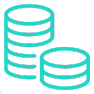 icon data in teal color