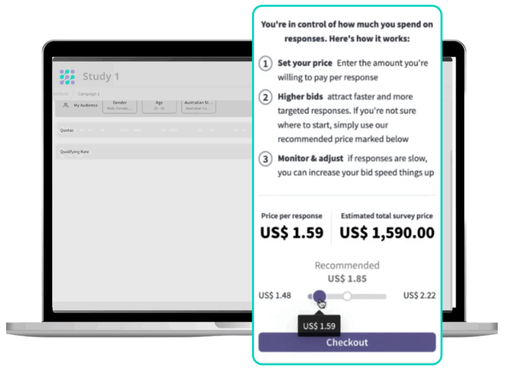 Datarubico set your price